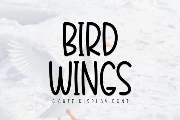 Bird Wings: A Handwritten Font for Editorial Personality